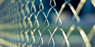 Gardul din plasă împletită ARMURA, alegerea potrivită pentru casa ta Gard din plasa