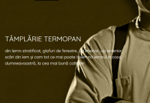 Dingotrans produce tâmplărie din lemn de peste 10 ani