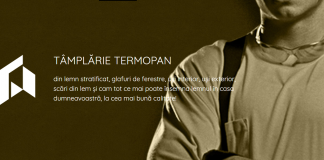 Dingotrans produce tâmplărie din lemn de peste 10 ani