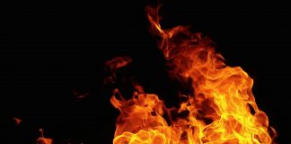 Peleți rumeguș de la Agrofuraje pentru sezonul rece bricheti peleti