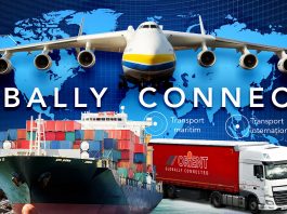 ORIENT – profesioniștii în transporturi rutiere de marfă și agabaritice