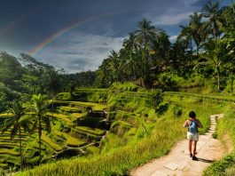 10 curiozități pe care trebuie să le știi înainte de a călători în Bali 10 curiozități pe care trebuie să le știi înainte de a călători în Bali