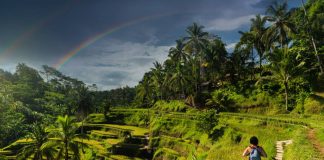 10 curiozități pe care trebuie să le știi înainte de a călători în Bali 10 curiozități pe care trebuie să le știi înainte de a călători în Bali