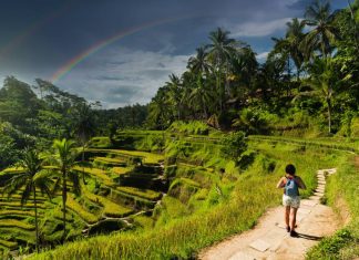 10 curiozități pe care trebuie să le știi înainte de a călători în Bali 10 curiozități pe care trebuie să le știi înainte de a călători în Bali