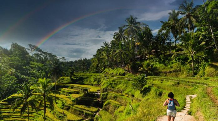 10 curiozități pe care trebuie să le știi înainte de a călători în Bali 10 curiozități pe care trebuie să le știi înainte de a călători în Bali