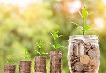 Strategii de investiţii pentru mileniali: Adaptarea la noua realitate economică Strategii de investiţii pentru mileniali Adaptarea la noua realitate economică